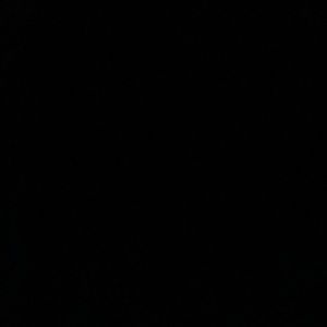 Meet your Posher, Bella